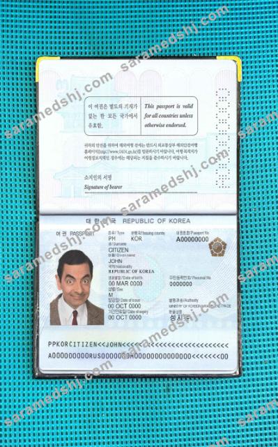 South Korea passport photo look